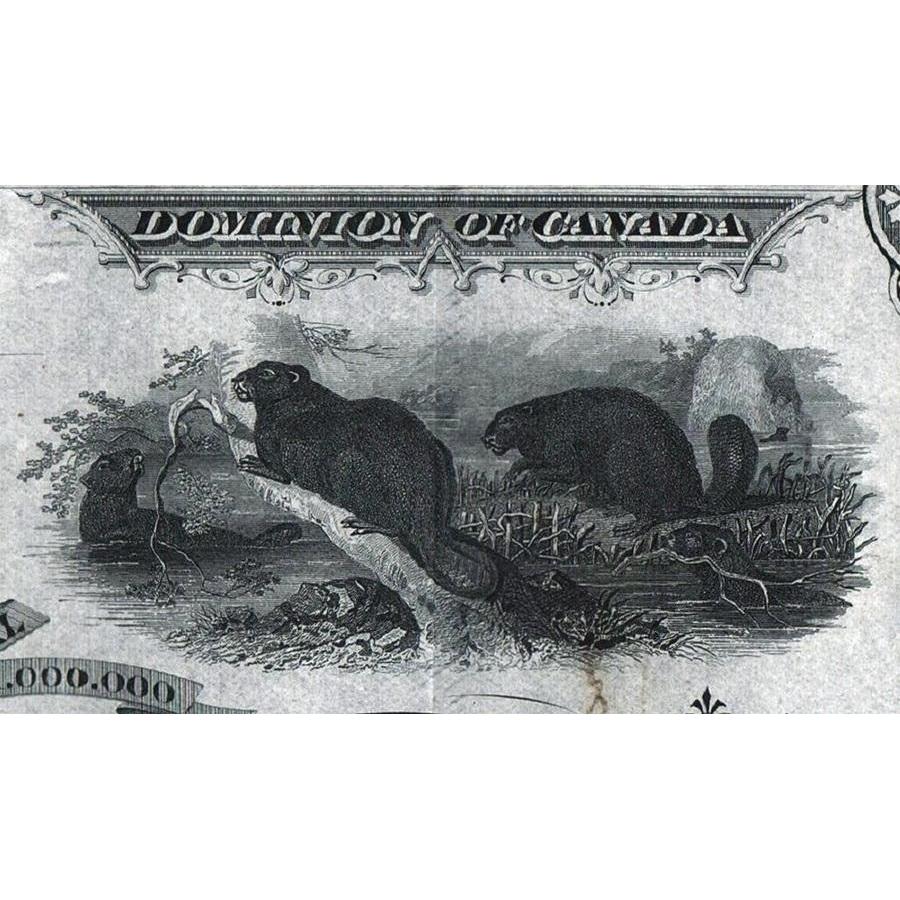 Beauce Gold Mining and Milling Company 1881 Canada Stock Certificate