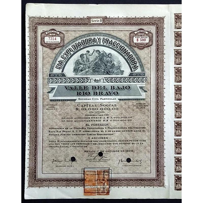 Cia. Explotadora y Fraccionadora, Valle Del Bajo Rio Bravo Sociedad Civil Particular Stock Certificate