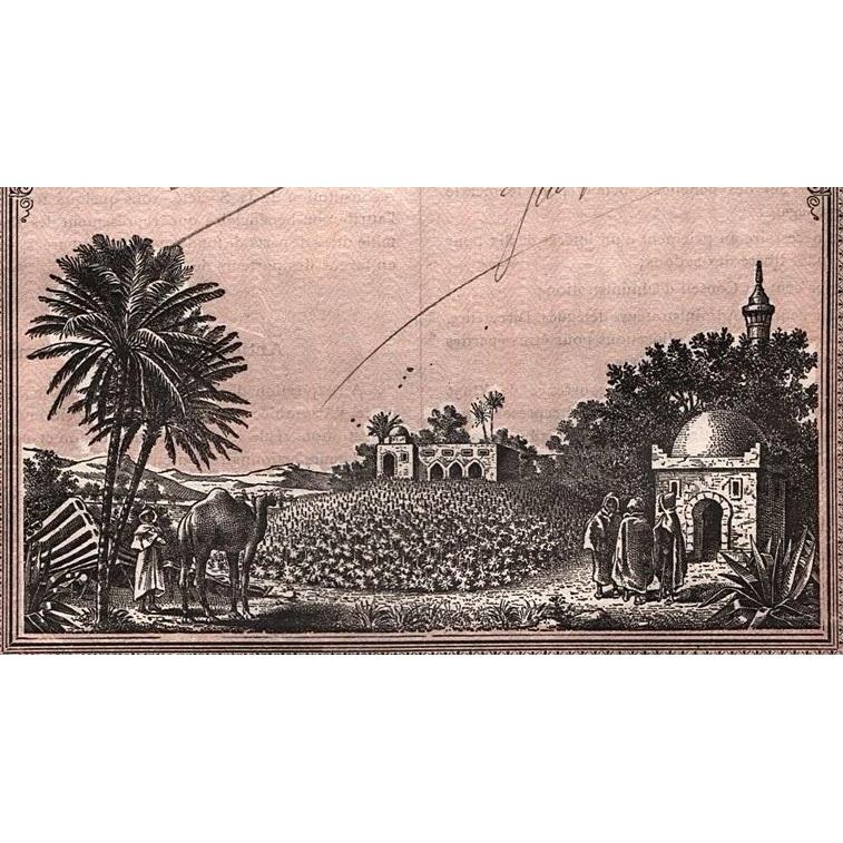 Compagnie Tunisienne Fonciere, Agricole & Industrielle Stock Certificate