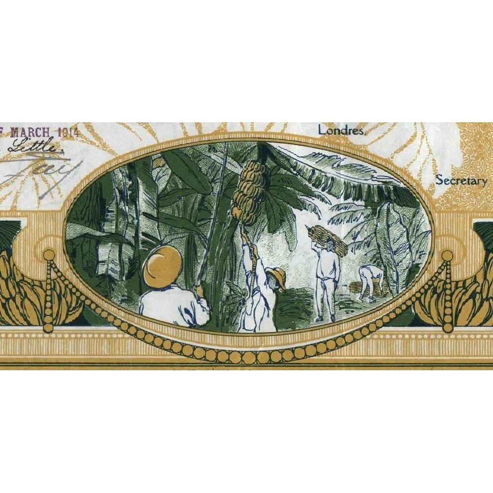 Cukra River Planting Co Ltd. 1914 Nicaragua Bananas Stock Certificate