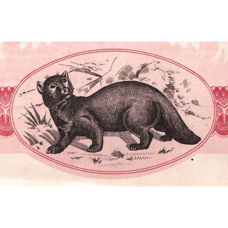 La Zibeline Societe Anonyme Stock Certificate