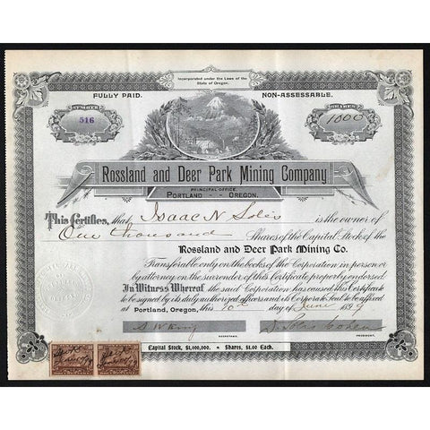 Rossland and Deer Park Mining Company Stock Certificate