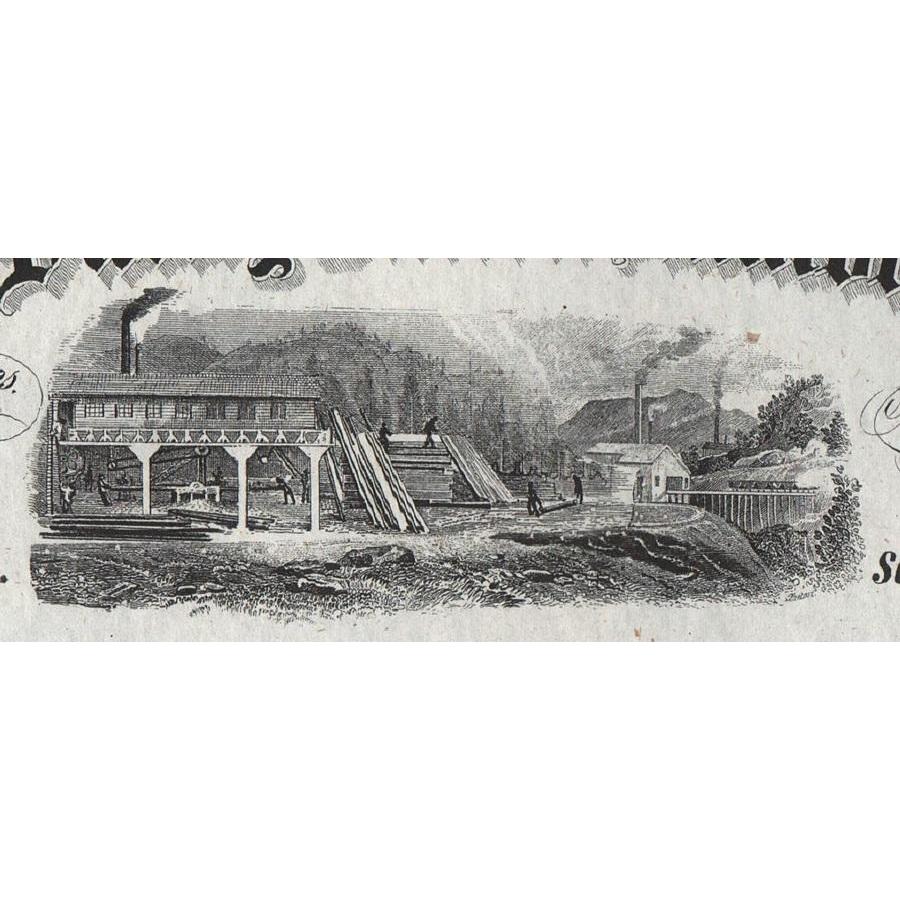 Santa Clara Valley Mill & Lumber Company Stock Certificate