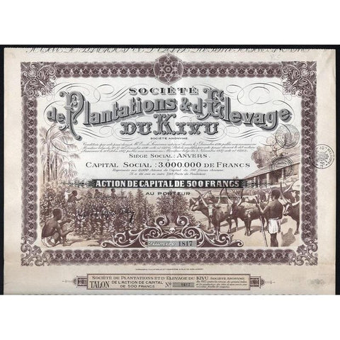 Societe de Plantations & d'Elevage du Kivu Societe Anonyme Stock Certificate