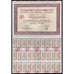 Societe du Djebel-Djeriss Societe Anonyme Stock Certificate