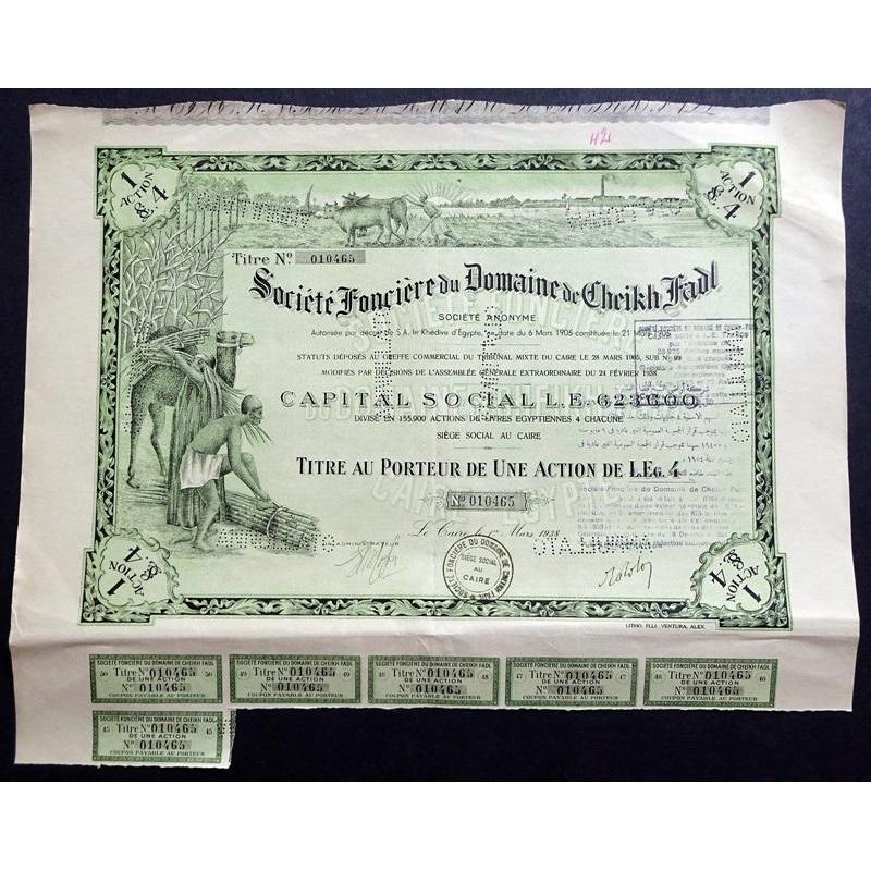 Societe Foncier du Domaine de Cheikh Fadl Stock Certificate