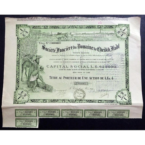 Societe Foncier du Domaine de Cheikh Fadl Stock Certificate