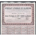 Syndicat Lyonnais du Klondike Societe Anonyme 1905 Stock Certificate