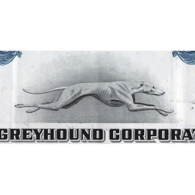The Greyhound Corporation Stock Certificate