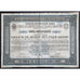 The Wladicaucase Railroad Company, 625 Gold Roubles Stock Certificate