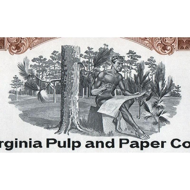 West Virginia Pulp and Paper Company Stock Certificate