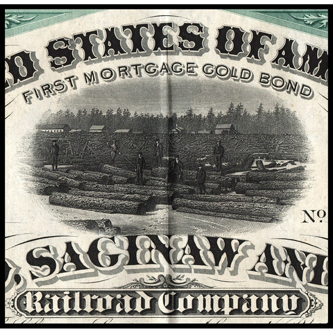 Th Chicago, Saginaw and Canada Railroad Company
