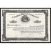 Central Trust Company of Doylestown Stock Certificate
