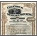 The Columbus, Shawnee and Hocking Railway Company 1890 Ohio Gold Bond