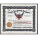 Santa Ana Mining Company, Kingman, Arizona 1900 Stock Certificate