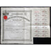 Great San Anton Gold Mining Company Limited 1891 Stock Certificate Mexico