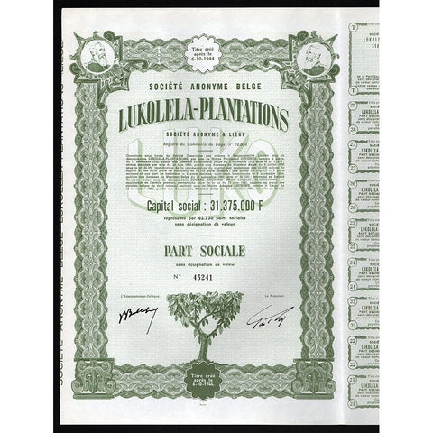 Societe Anonyme Belge Lukolela-Plantations Stock Certificate