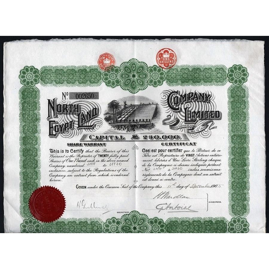 North Egypt Land Company 1905 Share Warrant Stock Certificate