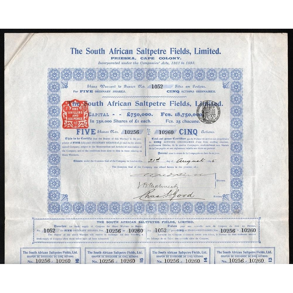 The South African Saltpetre Fields, Limited (Prieska, Cape Colony) Stock Certificate