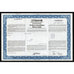 De Beers Consolidated Mines Limited (Citibank) South Africa Stock Certificate