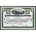 The Nashville, Chattanooga & St. Louis Railway Stock Certificate