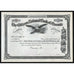 The Citizens National Bank of Oneonta Stock Certificate