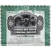 Peoria and Pekin Terminal Railway 1900 Illinois Gold Bond Certificate