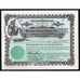 Winston-Salem Twins Inc. (Minor League Baseball) North Carolina Stock Certificate