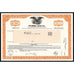FirstMiss Gold Inc. Nevada Mining Stock Certificate