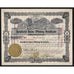 Goldfield Daisy Mining Syndicate 1907 Arizona Stock Certificate