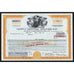North Central Airlines, Inc. (Republic Airlines, Inc.) Warrant Stock Certificate