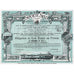 Societe Sully Societe Anonyme France 1911 Stock Certificate