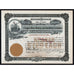 Copper King Mining and Smelting Company Mullan Idaho Stock Certificate