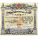 Banque Industrielle de Chine 1919 China Bank Stock Certificate