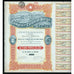 Comptoir Colonial Belge de l'Equateur 1920 Africa Stock Certificate