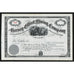 The Harvey-Elliott Mining Company (Maine) Stock Certificate