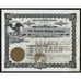 The Moraine Mining Company Chicago Illinois Stock Certificate