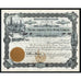The San Augustine Oil & Mining Company Stock Certificate New York