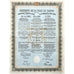 Ville de Varna / City of Varna, 1907 Bulgaria Gold Bond Certificate