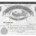 New York and Coney Island Railroad Company Brooklyn NY Stock Certificate