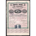 Compania Minera Del Carrizo 1893 Chihuahua Mexico Stock Certificate