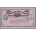 The Wisconsin and Colorado Silver Mining Co. Stock Certificate