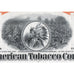 The American Tobacco Company vignette