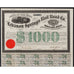 Lebanon Springs Rairroad Co. 1867 New York Bond Certificate