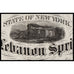 Lebanon Springs Rail Road Co. 1867 New York