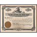 The Gauley and Meadow River Railroad Company West Virginia Stock Certificate