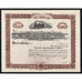 The Twin Lakes Railway Company Denver Colorado Stock Certificate