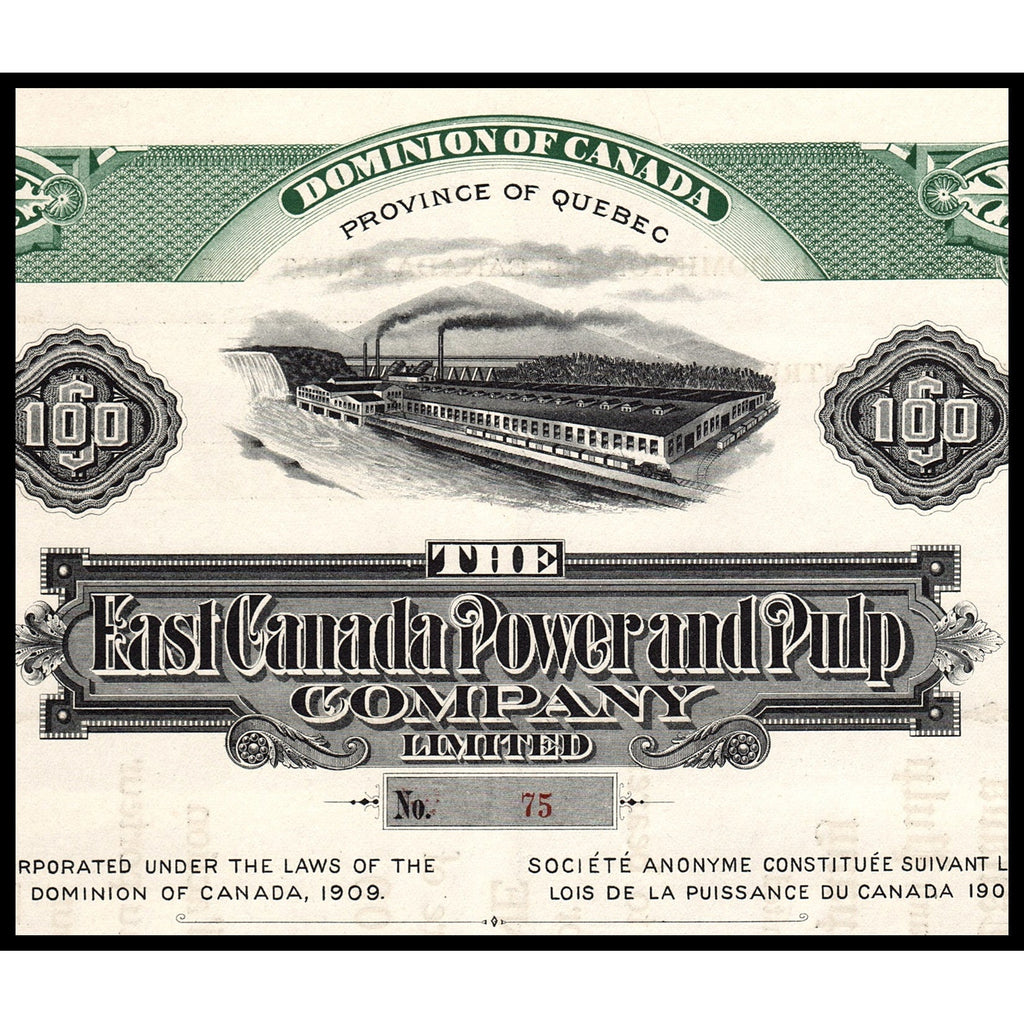 The East Canada Power and Pulp Company Limited Stock Certificate