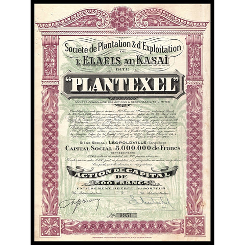 Plantation & d'Exploitation de l'Elaeis au Kasai dite "PLANTEXEL" Congo Stock Certificate