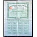 Henderson's Nigel Limited Stock Certificate